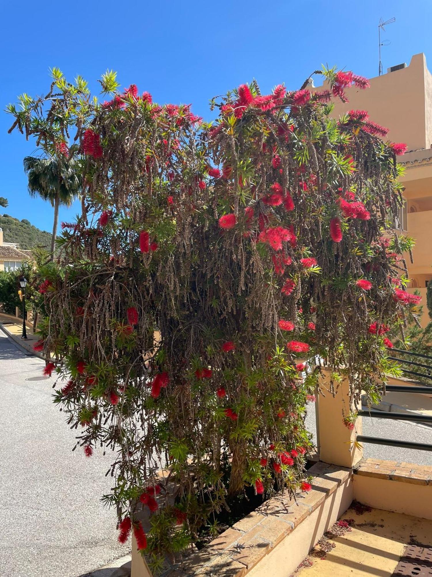Santa Maria Village, Elviria, Marbella